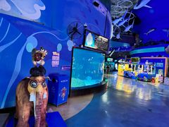 -烟台海昌鲸鲨海洋公园