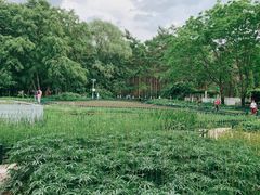 -黑龙江省森林植物园