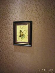 -归真美学颜究中心