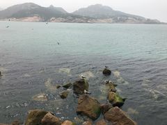 -海驴岛(荣成市)