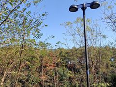 -青龙山国家森林公园