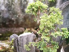 -章太炎故居