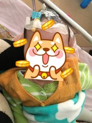 -苏州大学附属儿童医院(景德路院区)