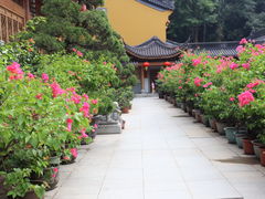 -杭州上天竺法喜讲寺