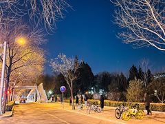 -元大都城垣遗址公园