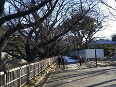 -名古屋城