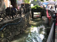 -小洲村