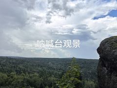 -汤旺河林海奇石景区