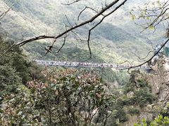 -宁波五龙潭景区