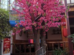 -丽江庭院之爱在路上(西单店)