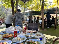 -尚庄度假村·庭台树下·户外烧烤·团建CS·轰趴营地(上庄水库店)