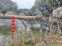 -无锡梅园公园