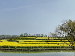 -乌村