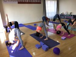 点击看大图 -亚太瑜伽普拉提学院