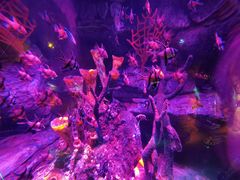 -沈阳海洋探索中心