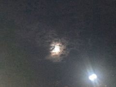 -喝丢一只鞋辣炒海鲜小烧烤(三八广场店)