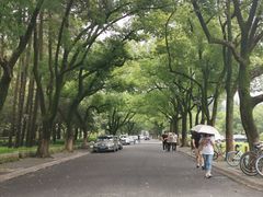 -浙江大学(玉泉校区)