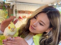 -吉丁鸟咖·异宠·寄养