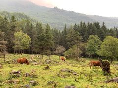 -硗碛藏寨·神木垒景区