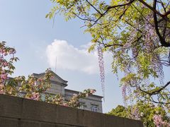 -嘉定紫藤园