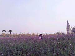 -美的鹭湖森林度假区