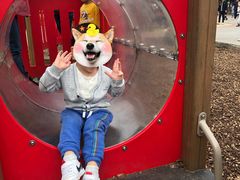 -枫香湖儿童公园