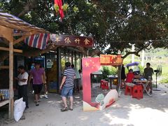 -丰依竹食·老牌竹筒饭