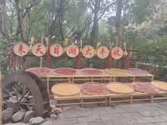 -天目湖山水园