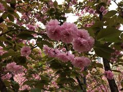 -苏州河梦清园环保主题公园