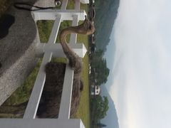 android_upload_pic-瑞穗牧场