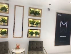 -MIVI野生眉纹绣纹眉