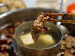 -蛙两只美蛙鱼头火锅(恒茂店)