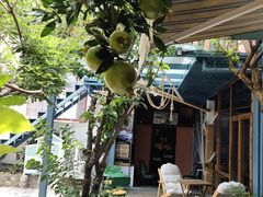 大堂-喵屿·大理花园猫咖