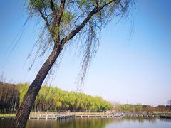 -昆山城市生态森林公园