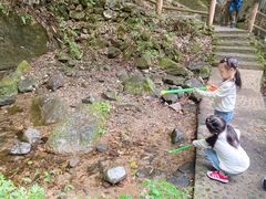 -藏龙百瀑风景区