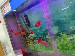 -雅悦齿科(顾村公园店)