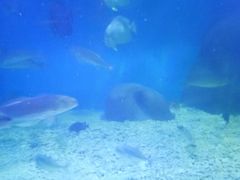 -上海长江河口科技馆
