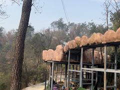 -青龙山国家森林公园