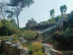 -宁波野生动物园