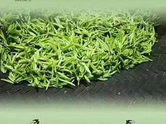 -张一元(世纪金源购物中心东区店)