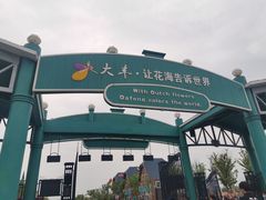 -荷兰花海