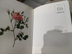 -漓江书院(三祺广场店)