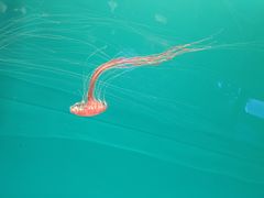 -多彩贵州城极地海洋世界