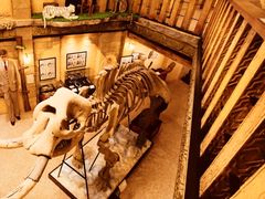 -信不信由你博物馆