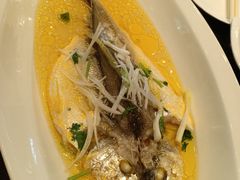 糟香鸡油鲜黄鱼-上海虹桥宾馆味翠餐厅