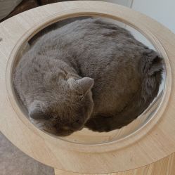 -飛凡TATTOO纹身•原创