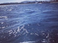 -亚龙湾海底世界