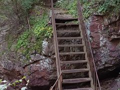 -云岫谷游猎自然风景区