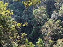 -清迈丛林飞跃 JungleFlight