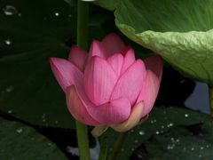 -长春市南湖公园